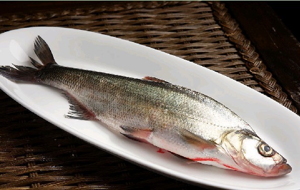 00￥15.00/kg所属基地:吉莲海鲜净白花鱼产品详情基地产品生产基地